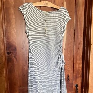 Max Studio Dress